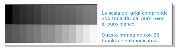 Solo bianco e nero Potrà sembrare sorprendente, ma i pixel del sensore possono registrare solo l'intensità della luce, non il suo colore.