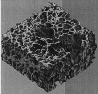 del materiale. La Figura 38 e la Figura 38b mostrano rispettivamente la ricostruzione 3D di un campione di schiuma Hydro e quella di una schiuma LKR.