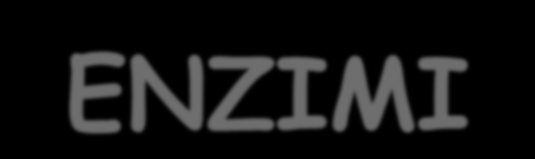 ENZIMI Per «enzima alimentare» s intende un prodotto ottenuto da vegetali, animali o microrganismi o prodotti derivati, nonché un prodotto ottenuto mediante un processo di fermentazione tramite