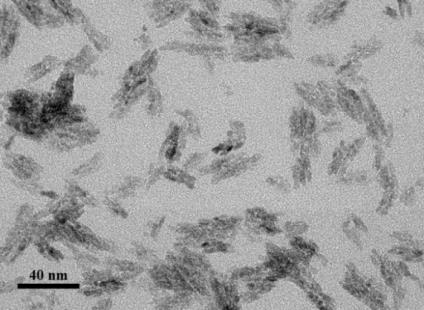 realizzate tramite ESEM-EDX hanno confermato che la presenza del consolidante impedisce alle nanoparticelle di TiO 2 di penetrare in profondità nel substrato, anche nei campioni porosi di pietra di