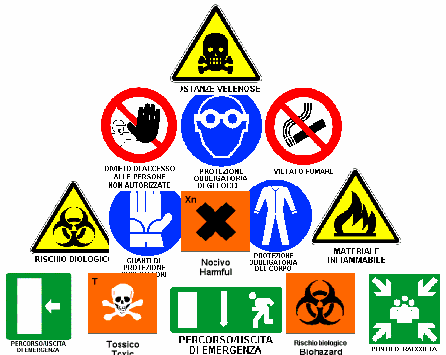 1. Leggi il testo e fai l attività di comprensione. Segnaletica di sicurezza negli ambienti di lavoro Il D.Lgs.