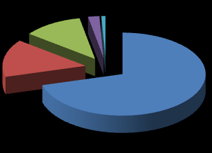 2 Trimestre 2015 2 Trimestre 2014 STRUMENTAZIONE e ALTRI RICAVI; 10,9% Test RIA; 1,4% DIAGNOSTICA MOLECOLARE; 0,8% STRUMENTAZIONE e ALTRI RICAVI; 11,6% Test RIA; 2,2% DIAGNOSTICA MOLECOLARE; 0,8%