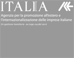 PERCHE' PARTECIPARE Nel 2011 il PIL iracheno è stato pari a circa 157 miliardi di dollari, per la quasi totalita derivante dalla vendita di idrocarburi, con un aumento dell 8,2% rispetto al 2010.