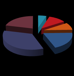 CONFINDUSTRIA LE DOTAZIONI DI BASE Le dotazioni nei Comuni (% Comuni) 10 8 9 85% 99% 10 7 75% 79% 91% 6 4 35% 41% 2 6% 15% Personal computer per 100 dipendenti Comuni con Internet Comuni con