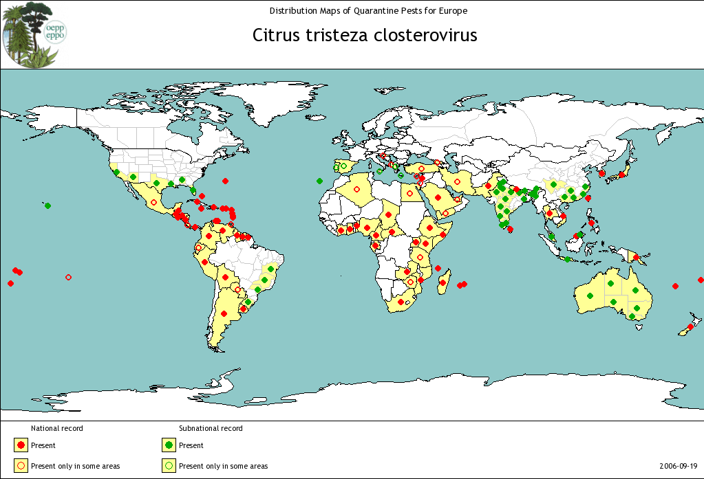 Figura 1. Mappa di distribuzione di Citrus tristeza closterovirus CTV nel mondo. 3.