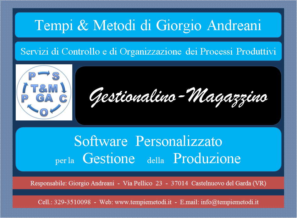 98 Castelnuovo del Garda, 27 luglio 2009 Il Gestionale - Magazzino Gestionalino è un Software che gestisce altri Software Specifici per risolvere le varie problematiche o necessità che il produrre