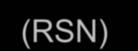 Robust Security Network (RSN) Permette solo la creazione di RSNAs (Robust Security Network Association) Una RSNA è una relazione di sicurezza basata sull'