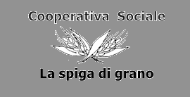 COOPERATIVE SOCIALI TIPO B COOPERATIVA SOCIALE L OFFICINA DELLE POSSIBILITA ONLUS COOPERATIVA SOCIALE LA SPIGA DI GRANO Via Bruceto, 103 51010 Massa e Cozzile Tel. 327/1224860 info@mahboh.