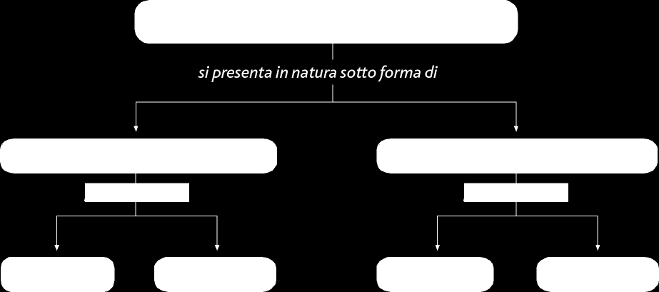 la composizione e quindi le proprietà intensive sono le stesse in ogni parte del sistema La composizione e le proprietà intensive