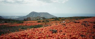 industria agroalimentare e distribuzione e rrori durante le procedure di trasformazione alimentare causano difetti in termini di peso, forma o confezionamento del prodotto che ne comportano lo scarto