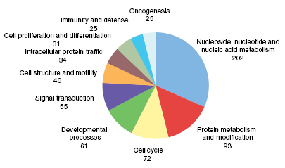 Figura 7. Analisi genetica ontologica dei possibili substrati, effettuata con il programma PANTHER. Delle 700 proteine identificate, 421 sono state associate con 769 processi biologici.