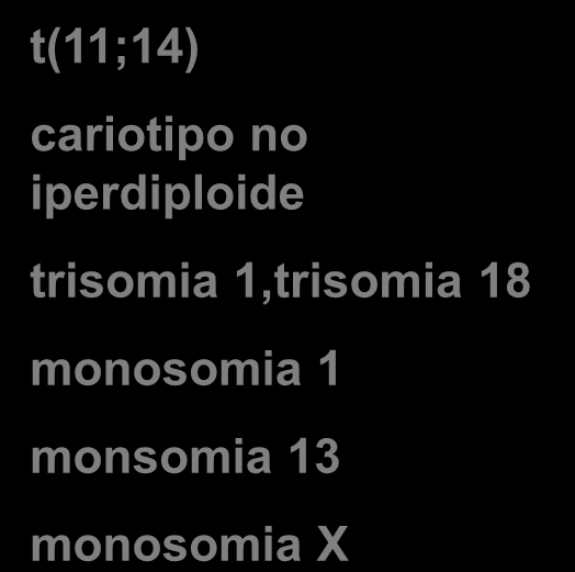 CD20+ + CD56- CD38 ++ CD138 ++ CD117- t(11;14) cariotipo no