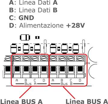 2.2 Morsettiere Linee BUS RS-485 (BUS A e BUS B) Morsettiere per il collegamento delle linee BUS RS-485 dei concentratori.