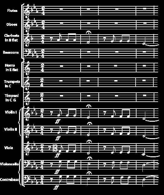 L idea dell orchestra come insieme di strumenti si perde nella notte dei tempi con esperimenti tra i più vari ma forse il primo tentativo in senso moderno fu quello di Claudio Monteverdi che, per l