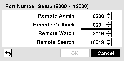 Videoregistratore digitale art. 49804 Figura 19 Schermata di impostazione LAN (manuale). Evidenziare la casella vicino a Tipo e premere il pulsante.