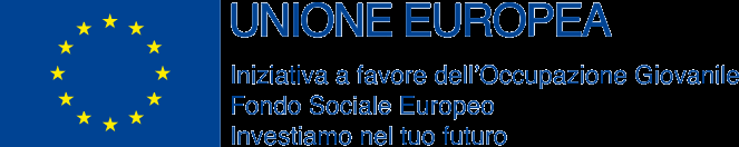 DOMANDA PER L AMMISSIONE AL PROGETTO ADDETTO AL WEB E SOCIAL MARKETING AZIENDALE Codice progetto 554/1/12/1064/2014 Le opportunità per i giovani in Veneto Direttiva per la realizzazione di progetti