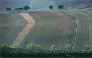 Le superfici ammissibili: qualsiasi superficie agricola dell'azienda, nonché le superfici investite a bosco ceduo a rotazione rapida; seminativi, incluse le serre; Pascoli e prati permanenti; colture