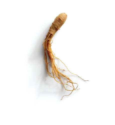 SENTIRSI BENE Idratante Effetto Bonne Mine Tubo 50ml Ginseng Estratto di Ginseng Fleur d'oranger Petit Grain PROPRIETA L estratto di Ginseng è ricco di ginsenosidi e svolge 3 azioni complementari: