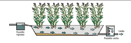 Caratteristiche costruttive del Vassoio Assorbente: costituito da un bacino a tenuta ( vetroresina o similare) riempito con terra vegetale nella parte superiore e pietrisco nella parte inferiore.