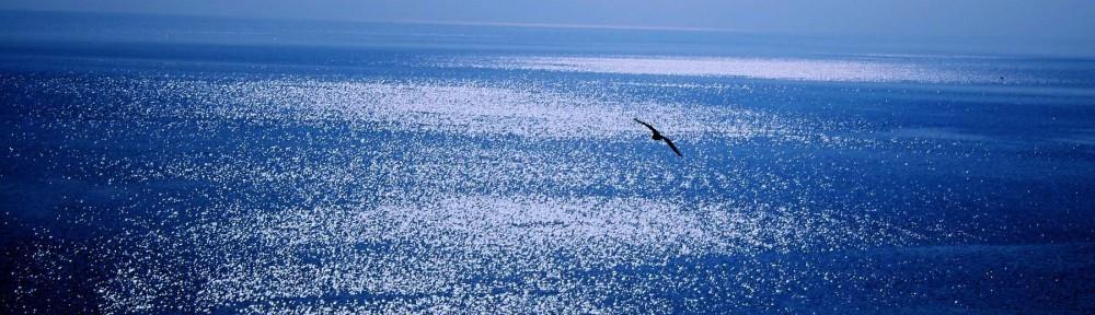 Il silenzio del mare