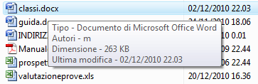 informazioni può essere fatta sul disco fisso del computer.