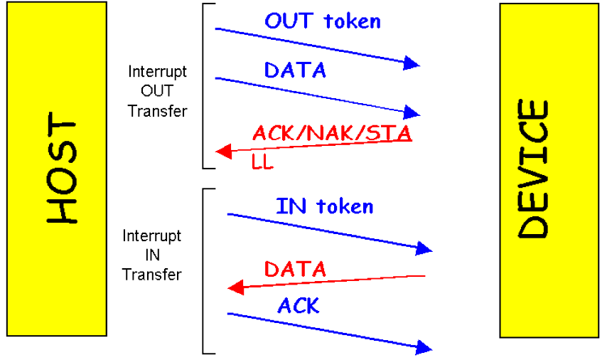 USB Interrupt transfer L host che vuole conoscere lo stato di un interrupt di un device, invia un IN token al corrispondente endpoint.