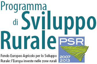 Relazione informativa sull'assistenza Tecnica Misura 511 L assistenza tecnica, ai sensi dell art. 66 del Reg CE 1698/2005, costituisce per l Autorità di Gestione (art.75 del Reg. (CE) N.