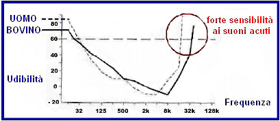 Fig. 6: gli audiogrammi bovini sono diversi da quelli umani Le caratteristiche dell'udito bovino condizionano il loro comportamento in stalla: lo stress indotto dal rumore è stato osservato nei