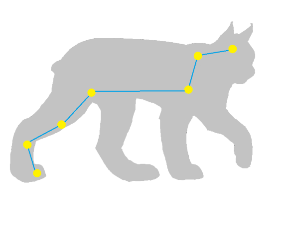 2 0 1 5 C O S T E L L A Z I O N E : L Y N X [ L I N C E ] L origine del nome di questa costellazione deriva dalla scarsa luminosità delle stelle che la compongono.