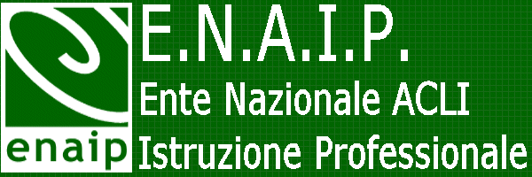 Piaggio allo scopo di concederli in comodato d uso gratuito agli Enti del Territorio per sperimentare e sviluppare un corretto utilizzo all interno della propria organizzazione ATTIVITÀ / IMPIEGO