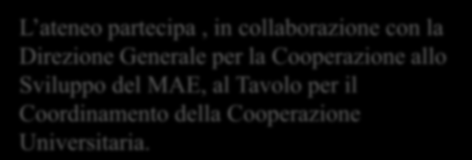 Sviluppo del MAE, al Tavolo per il Coordinamento della Cooperazione