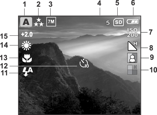 Icone dello schermo LCD Questi indicatori vengono visualizzati quando si registrano immagini fisse: 1.