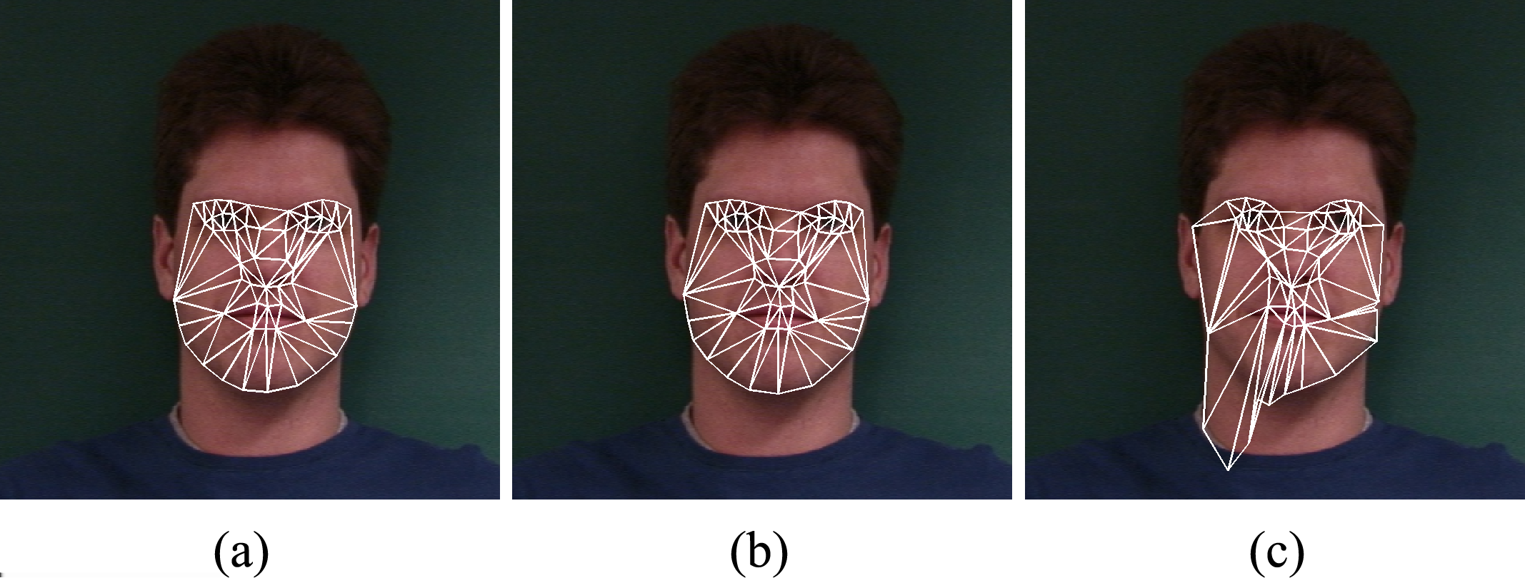 CAPITOLO 6. IMPLEMENTAZIONE MATLAB DI AAM 2D+3D IN TEMPO REALE Figura 6.5.