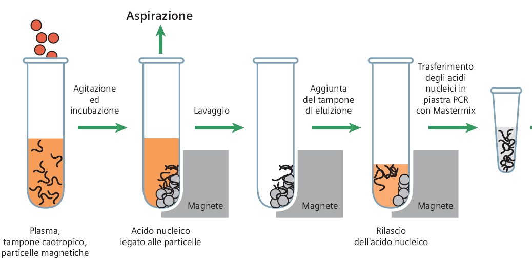 La silice riveste la superficie di biglie magnetiche.