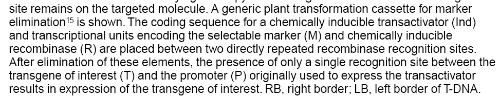 M: gene marker R: ricombinasi sotto il controllo di