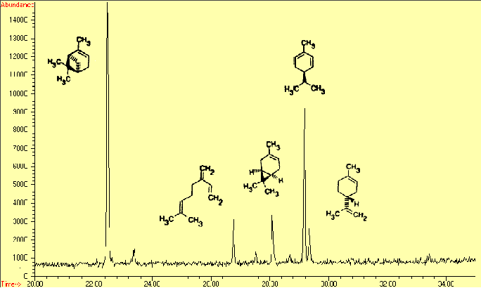 Analisi chimiche nel laboratorio Desorbimento termico