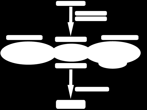 INPUT ), e la produzione, che è quello con cui manifestiamo agli altri la nostra volontà o il nostro pensiero (OUTPUT).