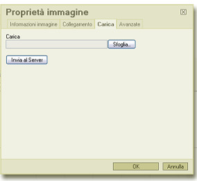 opzioni messe a disposizione del nostro editor web: "Incolla da word oppure Incolla come testo semplice.