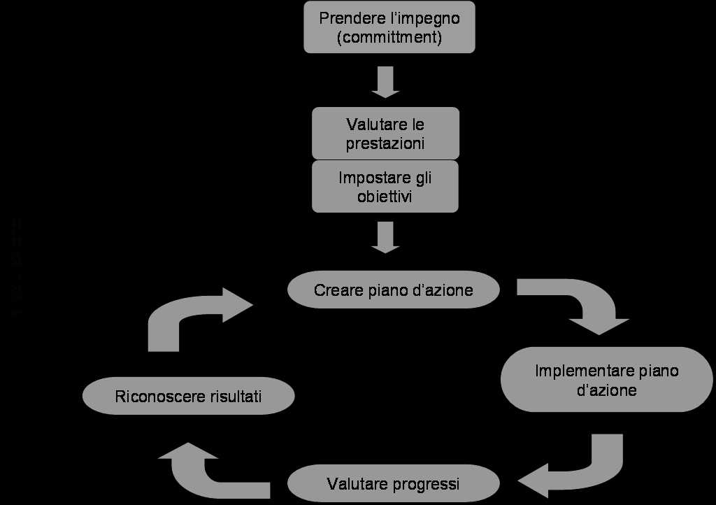 Per quanto riguarda l impostazione generale di un piano di gestione energetica, esso parte dal commissionamento di un incarico ( commitment ), che può venire dall interno dell azienda o su proposta