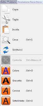 È utilizzabile anche dal menu Editor Problemi o con la combinazione di tasti Ctrl + X. 4.