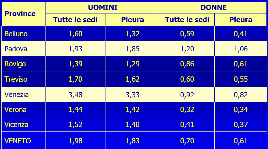 TASSI STANDARDIZZATI DI INCIDENZA DEL MESOTELIOMA NEL VENETO, 1988-2002