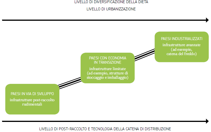 DISTRIBUZIONE E VENDITA In questa fase (per quanto riguarda sia la distribuzione all ingrosso sia quella al dettaglio) gli sprechi sono soprattutto la conseguenza di ordinazioni inappropriate e