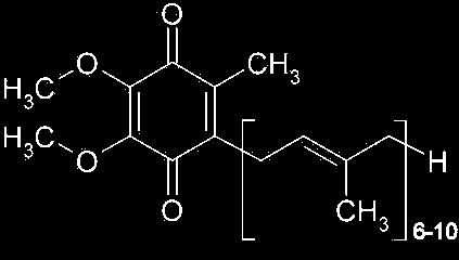 UBICHINONE (CoQ 10 ) E l unico antiossidante lipofilo sintetizzato dall uomo.