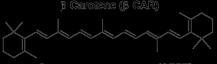 CAROTENOIDI Sono una classe di pigmenti naturali liposolubili.