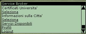 La personalizzazione dei servizi telematici Il Livello di Presentazione Menu a