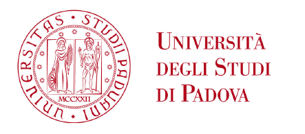 UNIVERITA' DEGLI STUDI DI PADOVA Dipartimento di Ingegneria dell'informazione Corso di Laurea Specialistica in Ingegneria Elettronica Basi per un modello simulativo del