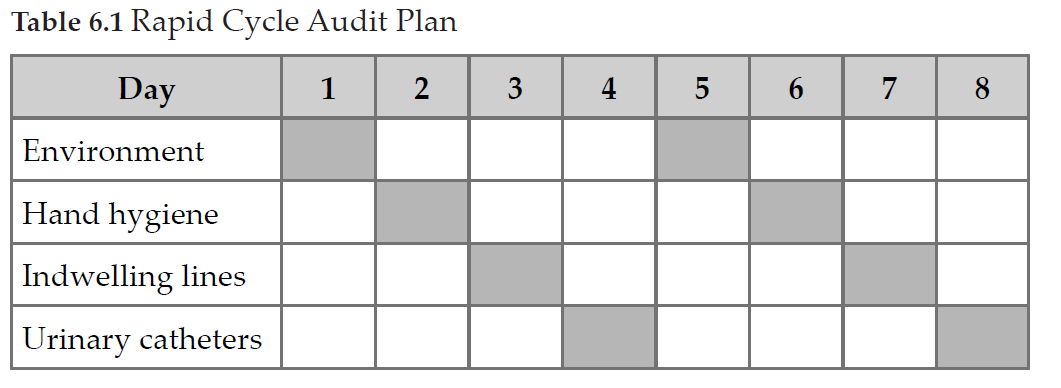 IFIC Concetti base nel controllo delle infezioni In aggiunta ai piani rapidi di audit, può essere utile un piano annuale [4] (vedi tabella 6.