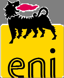 Art. 1 Definizioni AEEG: Autorità per l Energia Elettrica e il Gas, istituita ai sensi della legge 14 novembre 1995, n. 481.