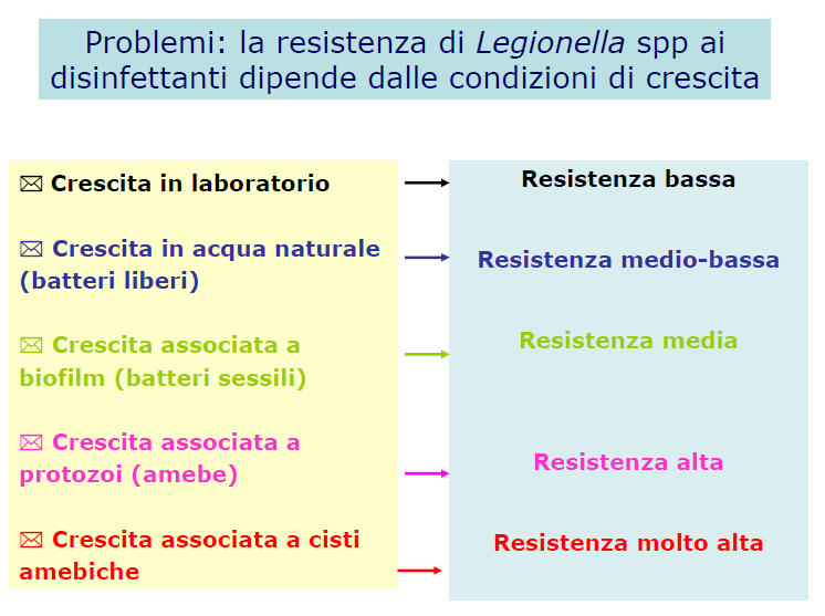 Fonte: Borella P.