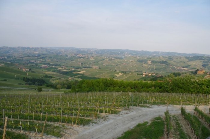 I vini da non perdere > Assaggi Nebbiolo Prima: il Barolo 2011 si presenta 23 giugno 2015 Langhe di Antonio Di Spirito E difficile raccontare questi eventi in modo esaustivo e, al contempo, essere